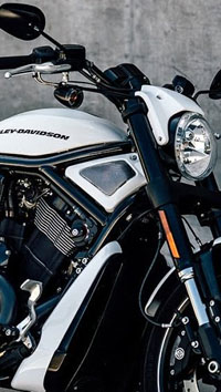 V-Rods and Muscle V-Rods and Muscle